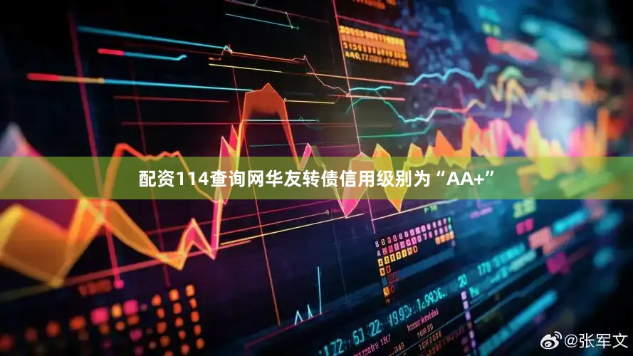 配资114查询网华友转债信用级别为“AA+”